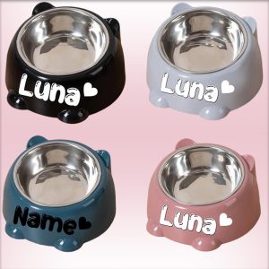 Drinking Bowl with Customizable Pet Names, Cute Food Bowl, Dog Bowl, Cat Bowl, Pet Bowl, Food Bowl, Cute Personality, Stainless Steel And PP Materials, Suitable for Gifts with Dogs And Cats