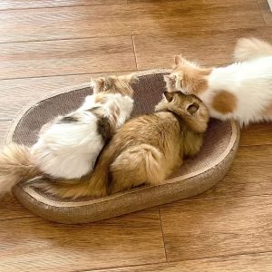 23.62inch Large Oval Sisal Cat Scratching Board, Durable and Wear-Resistant Cat Scratching Den with Sisal Toy Ball, No Assembly Required, Suitable for All Seasons, Ideal for Cats to Play and Sleep On