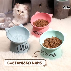 Custom Cute Cat And Dog Bowls, Personalized Plastic Dopamine Color Pet Bowls, Pet Drinking Bowls, Tilted Pet Bowls for Neck Protection, a Good Gift for Pets